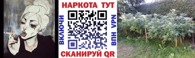 Купить наркоту Ветлуга Гашиш  НБОМе  МЕФ  Псилоцибиновые грибы  КОКАИН  А ПВП 