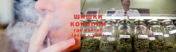 амф Сосновый Бор
