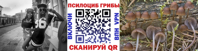 Галлюциногенные грибы мицелий  купить наркотики сайты  Ветлуга 